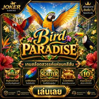 ภาพเกมสล็อต Bird Paradise ธีมนกแก้ว นกทูแคน นกฮัมมิงเบิร์ด น้ำตก ดอกไม้ ป่าฝน และรีลสล็อตสีสด