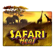 Safari Heat สล็อตออนไลน์ธีมซาฟารีและสัตว์ป่า